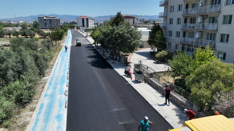 Hürriyet Mahallesi 450 Sokak'ta Sıcak Asfalt Çalışmaları Sürüyor