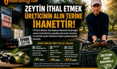 Kındıroğlu: “Zeytin İthal Etmek Üreticinin Alın Terine İhanettir”